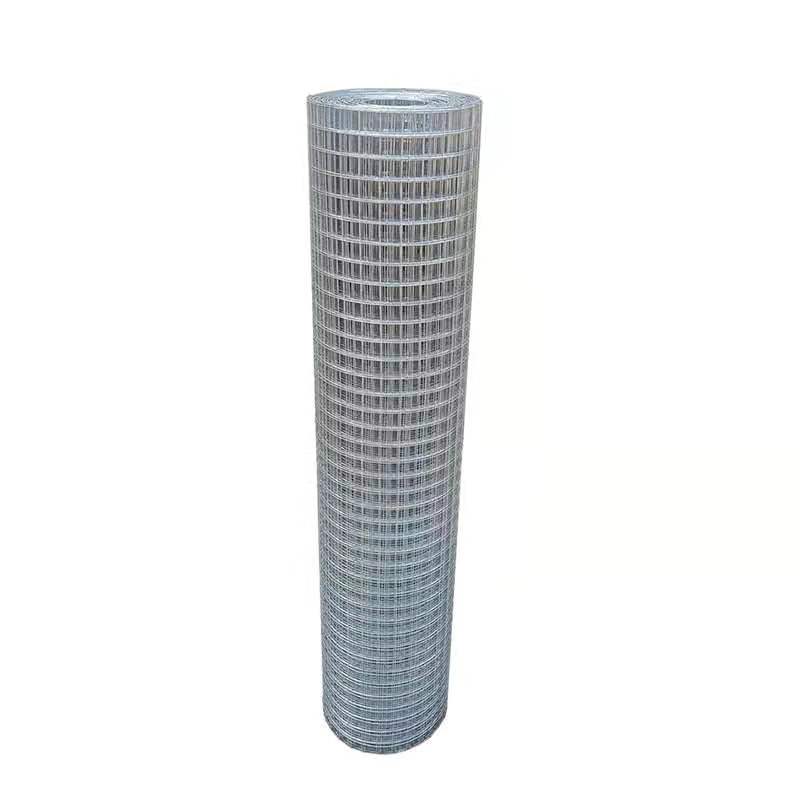 Wholesaler gi welded wire mesh per roll