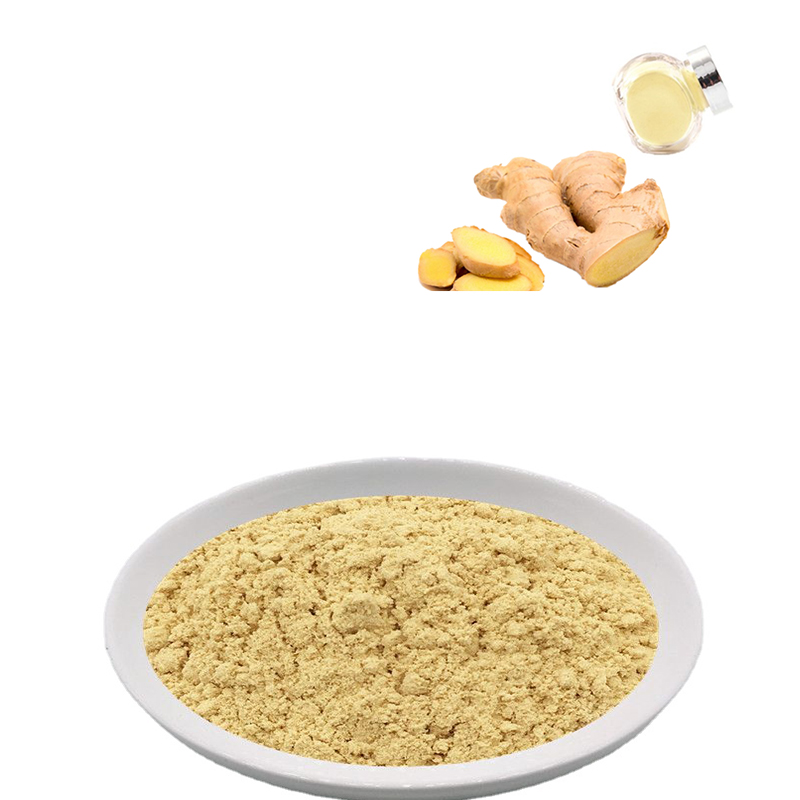 High quality low price natural ginger extract powder