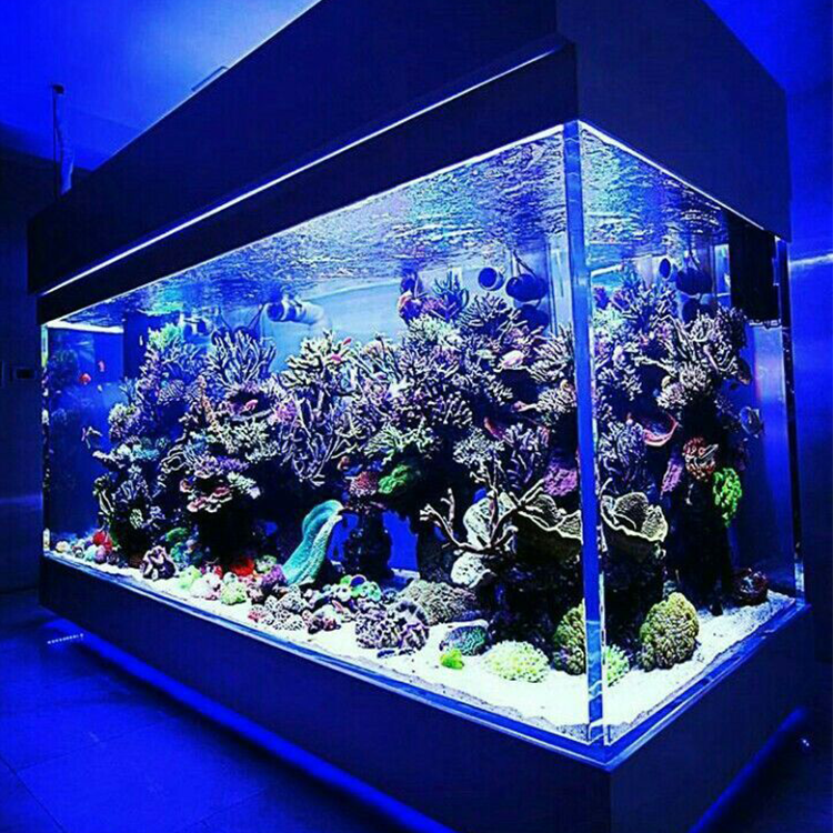 Factory Direct Supply New Style Non Yellowing Fish Tank, Clear Acrylic Large Square Fish Tank@