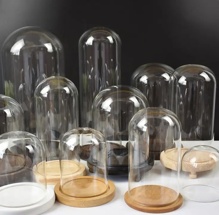 Custom Made Decorative Clear Display Glass Cloche Domes Bell Jar for Tabletop Case Covered Plants Food