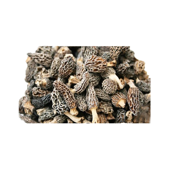 Dried Morel Mushrooms \ Dry Morels \ Wild Mushrooms