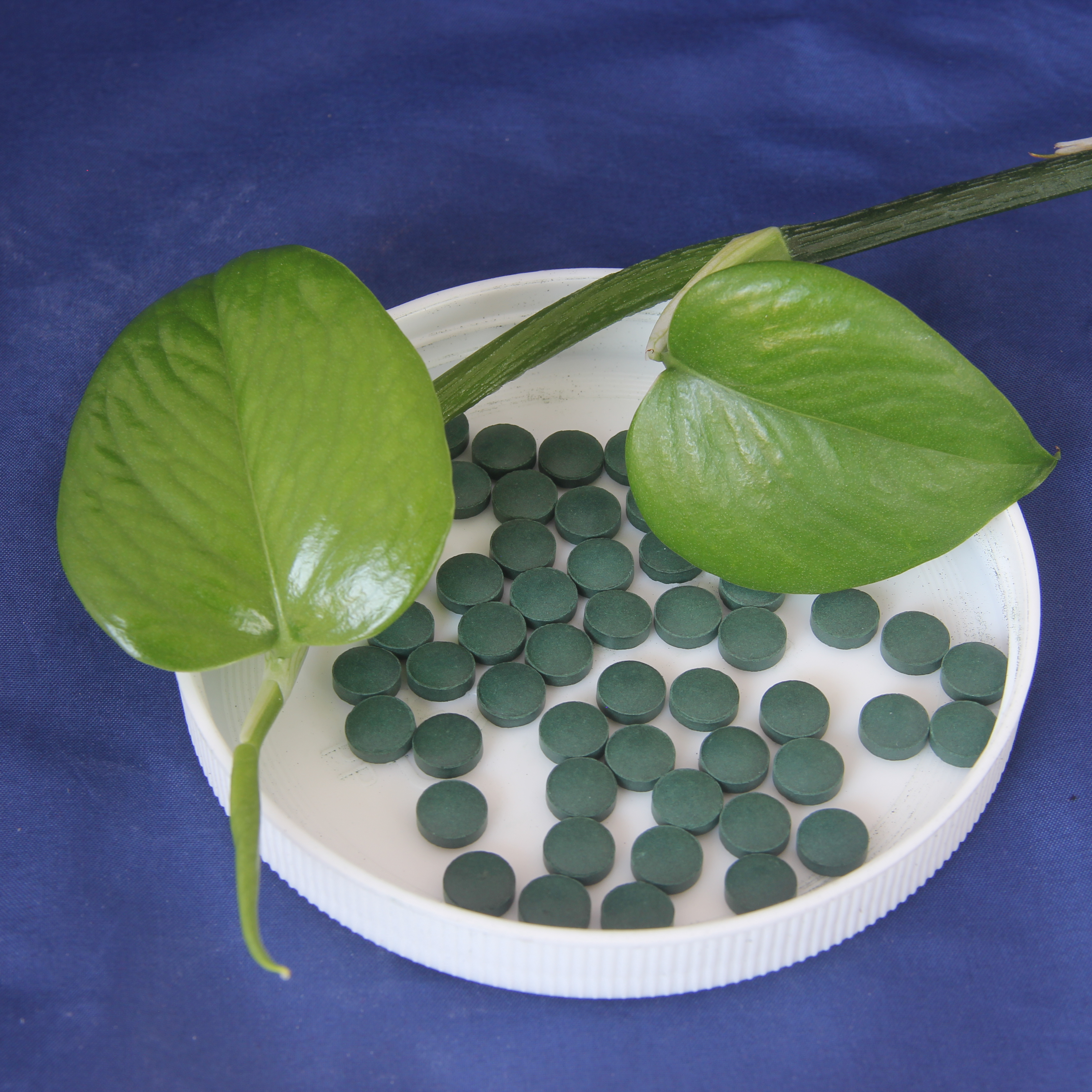 GMP certificates best selling price of spirulina tablet