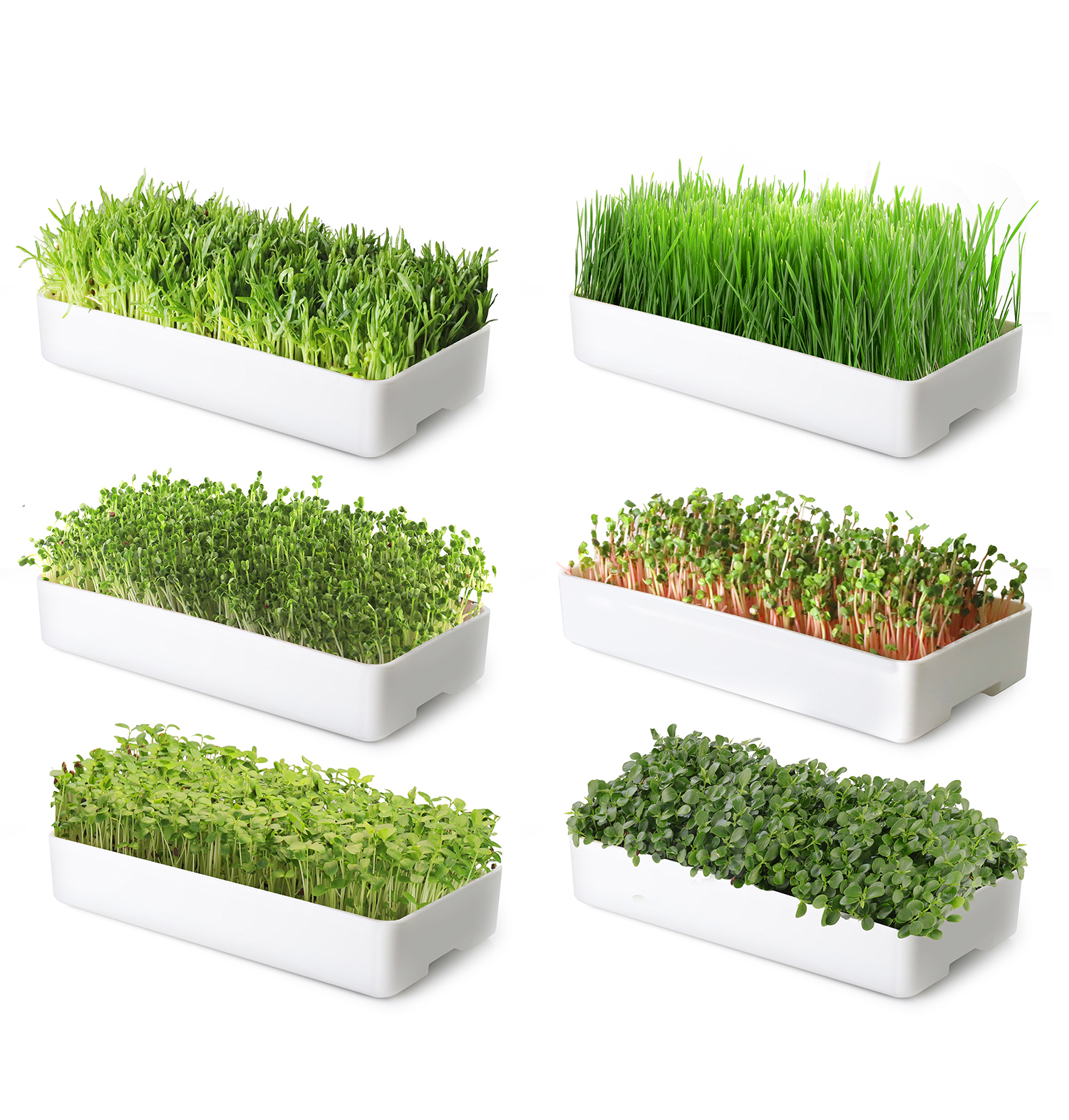 Светодиодная комнатная садовая легко растущая в помещении лоток для семян microgreen гидропонная система выращивания