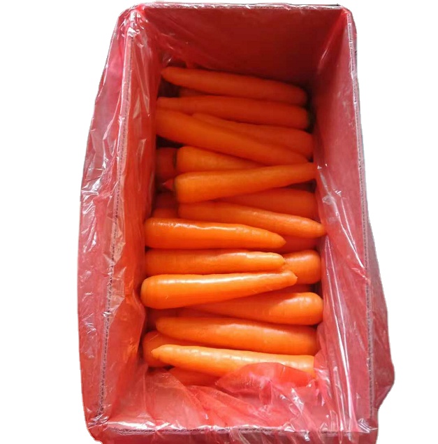 New crop fresh carrot factory bulk sale XUANYI carrot size S/M export
