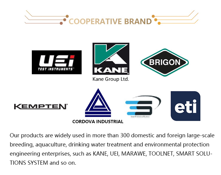 DAXIN Back Light Wood Humidity Sensor Digital Grains Moisture Meter Tester Moisture Analyzer