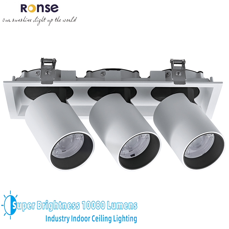 RONSE 230V Interior Ceiling Lighting 255mm Cut Out Led Grille Light 35W 25W 15W Led Cob Spot Down Light Fittings Adjustable