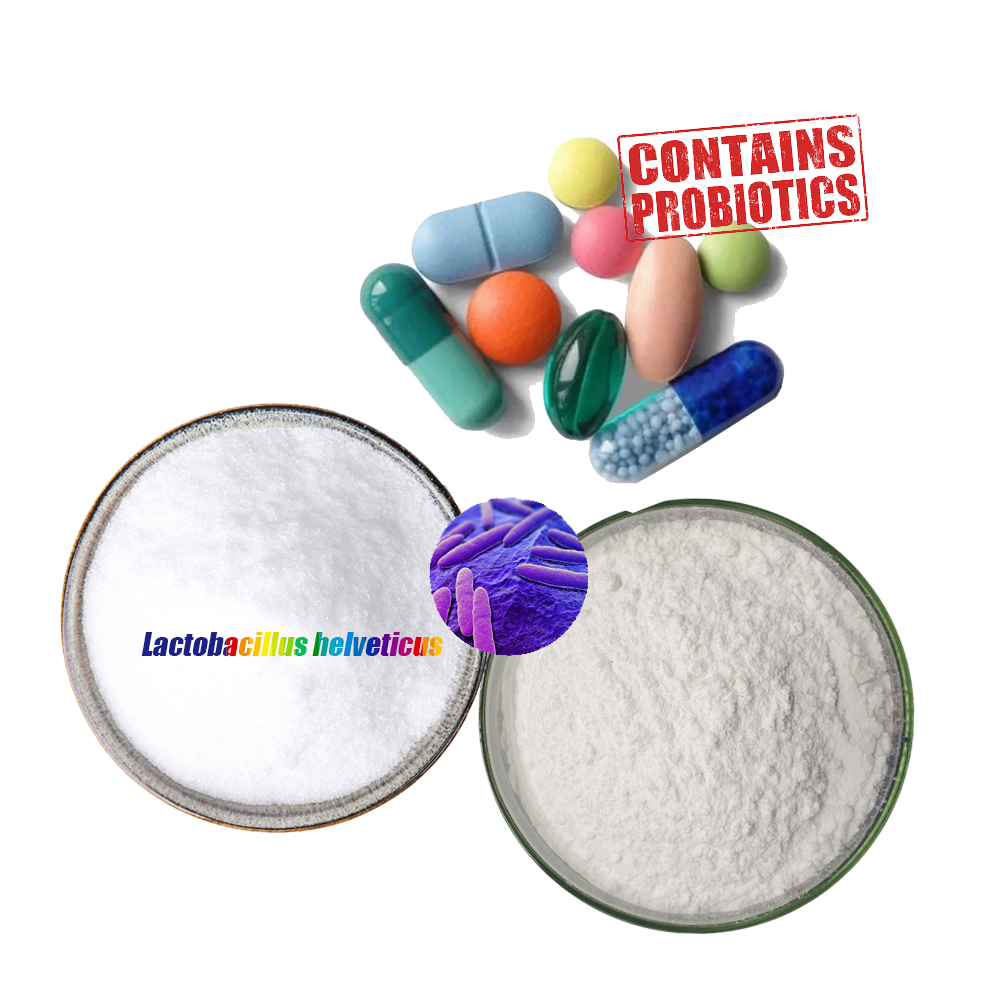 Raw material probiotics powder of Lactobacillus helveticus for probiotics supplements tablets capsules powders sachets