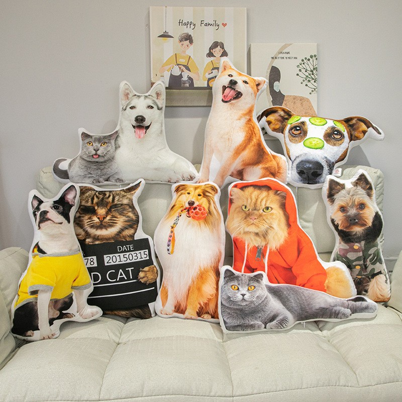 OEM Anime Pet Portrait Custom Cushion Home Decor Irregular Shaped Dakimakura Pillow