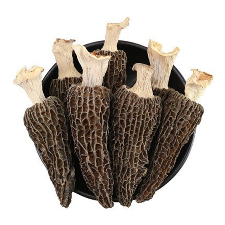 Высококачественный сушеный дикий Морель Morchella от китайского поставщика