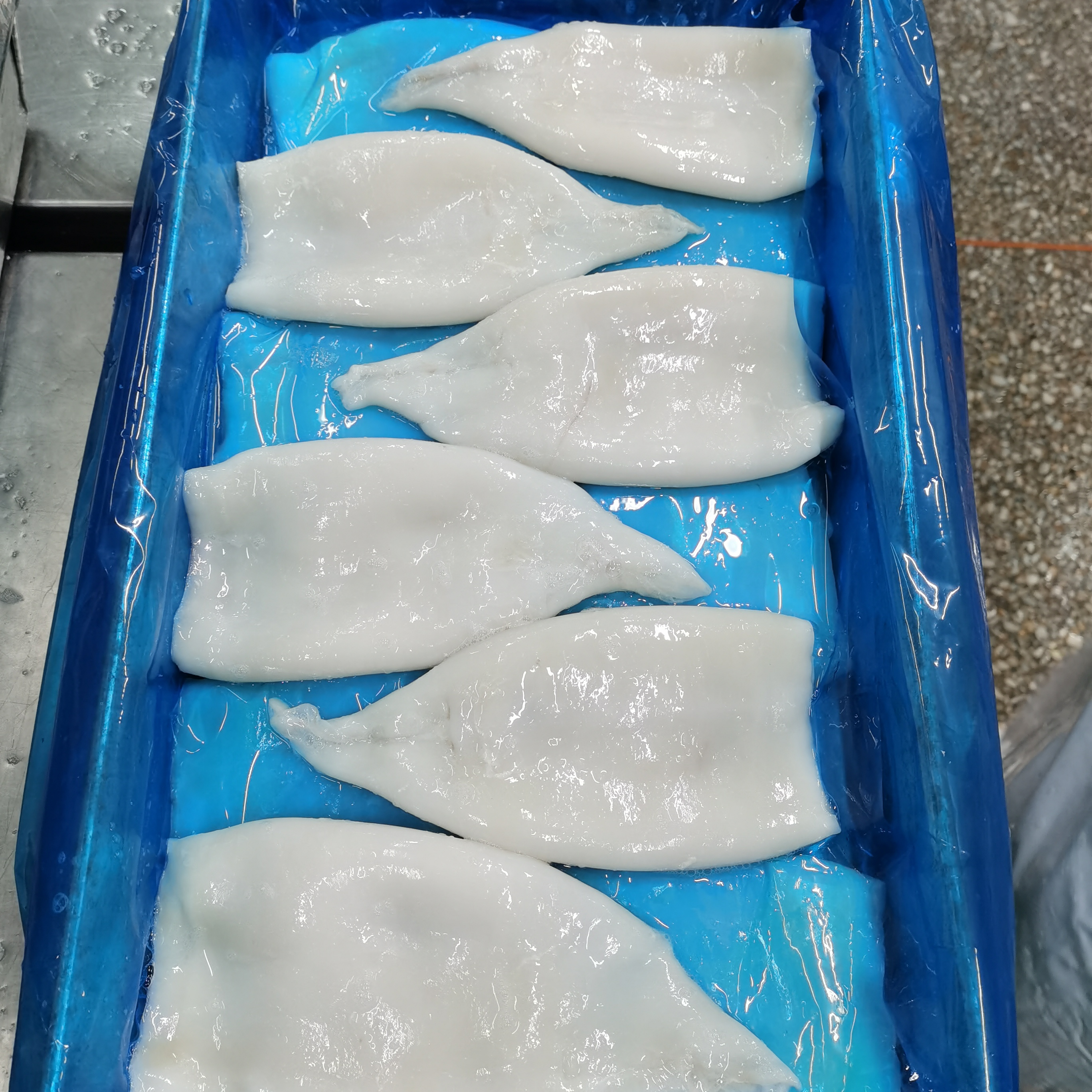 Замороженные морепродукты многослойная упаковка Перу гигантская кальмарная трубка