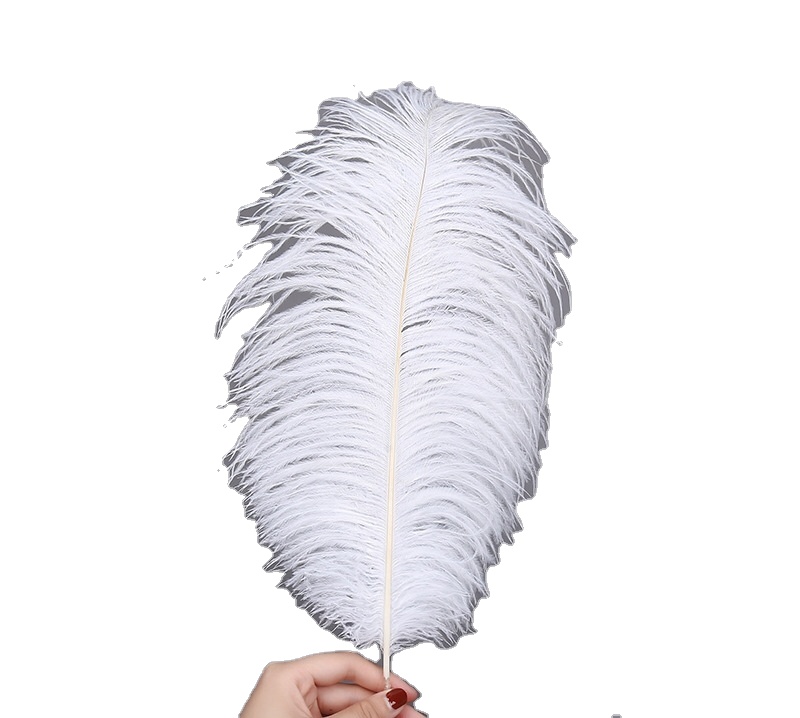 Wholesale Exporting Selected Prime Quality from 30-35cm Cheap Dyed Ostrich Feather for Sale feather earrings