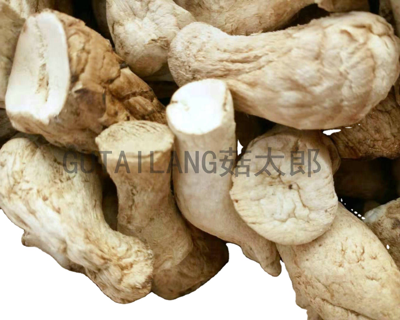Стебель грибов shiitake, стебель для ног, высушенный стебель грибов shiitake