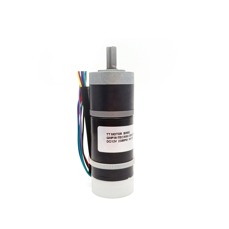 GMP36-TEC3650 24v электродвигатель bldc с высоким крутящим моментом для двигателя geard dc