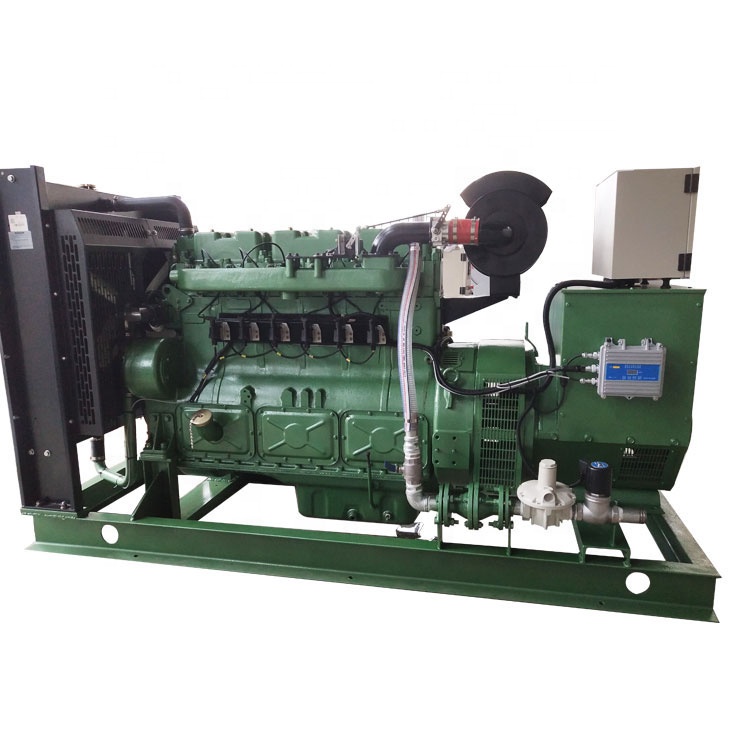 Customized 20-500KW natural/biogas gas generator price