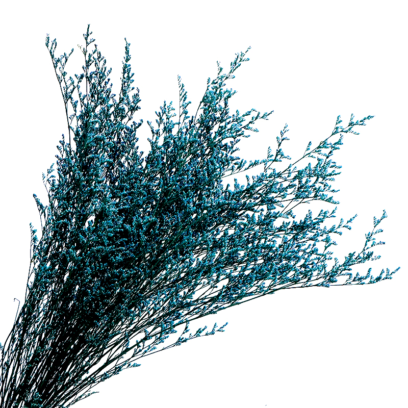 Dried Limonium Preserved Limonium/Statice
