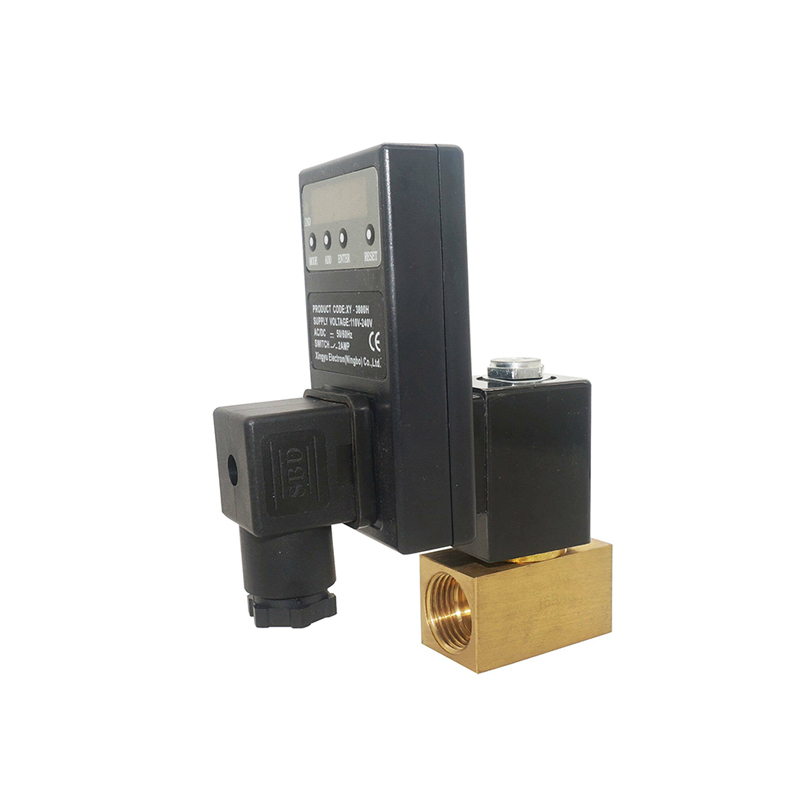 AC110V/220V DC24V/12V G1/2 ''латунный таймер управляемый Электронный конденсат BSP компрессор клапан