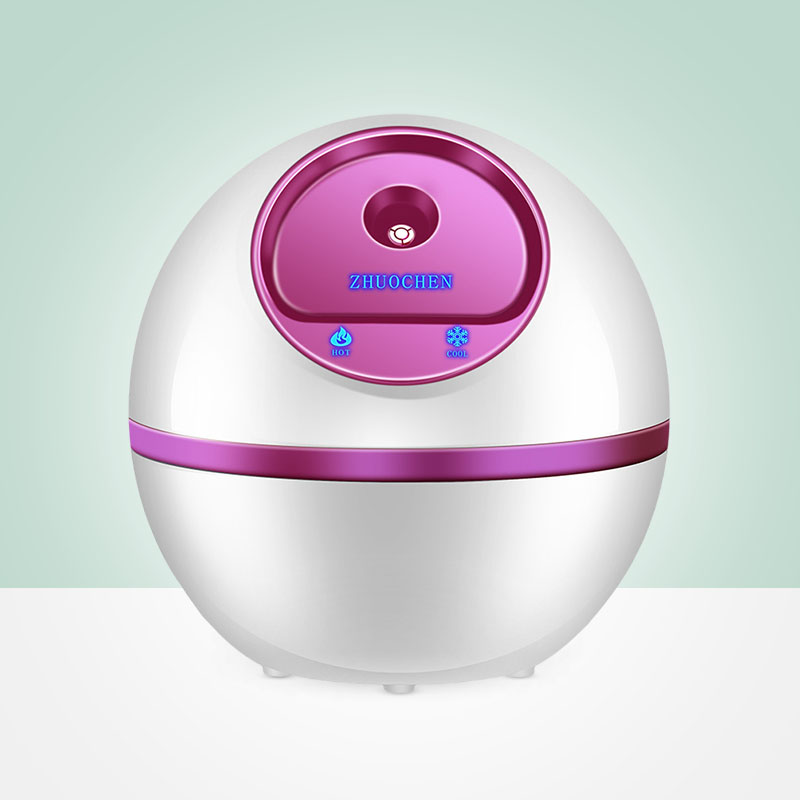Factory Supply Face Steam Machine Steamer Spa Face Machine Steamer For Sale