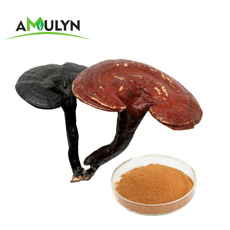 Органический порошок грибов рейши Lingzhi Ganoderma Lucidum, экстракт