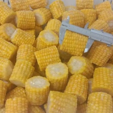 Оптовые поставки, оптовая продажа, замороженная желтая кукуруза, кукуруза