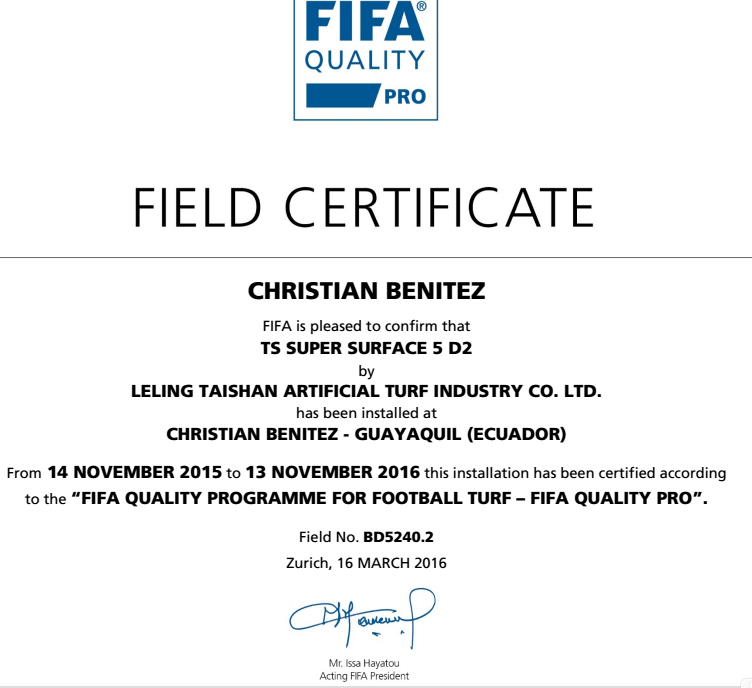 Taishan artificial turf sports grass football field Soccer paving outstanding durability good wear resistance customizable