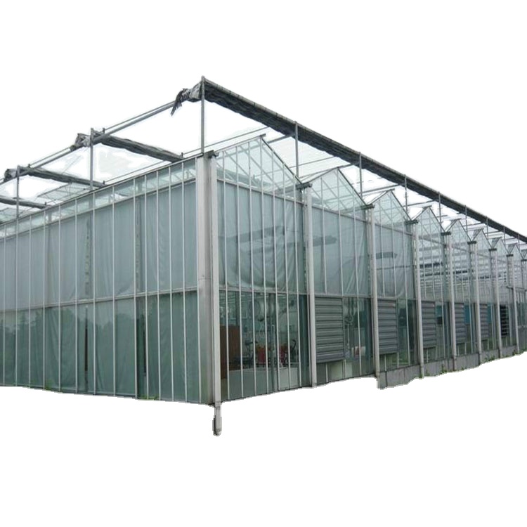 Agricultural Multi Span/Single Span Polycarbonate film greenhouse Complete Set Greenhouse of design