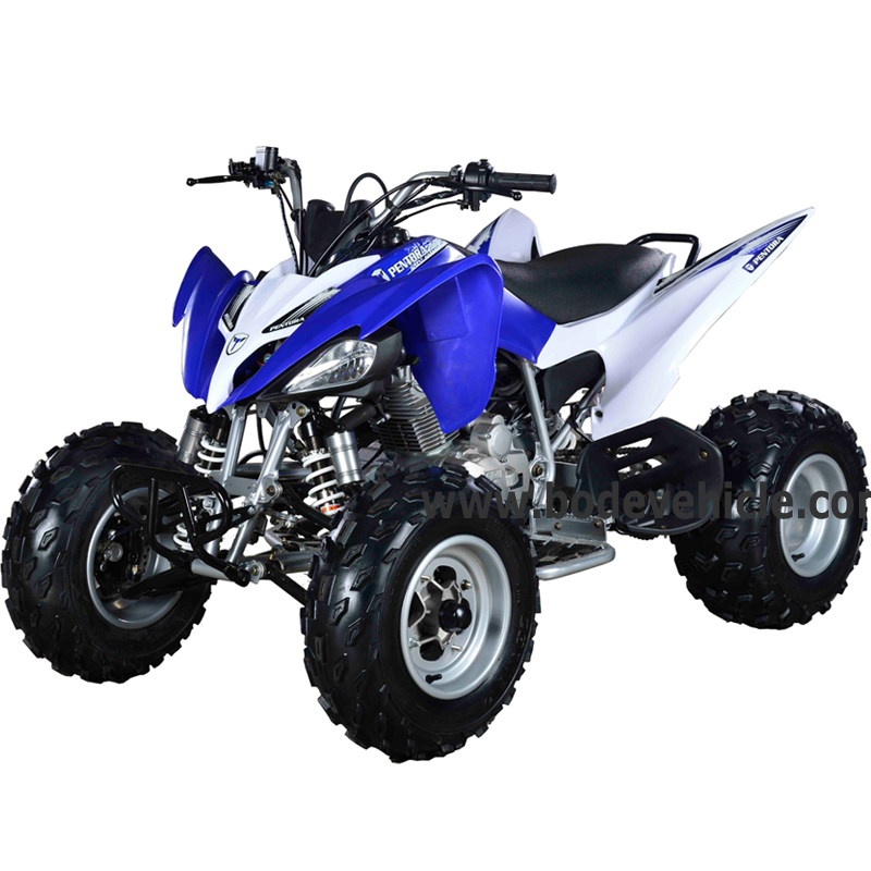 Четырехъядерный велосипед Raptor Design 250cc для продажи