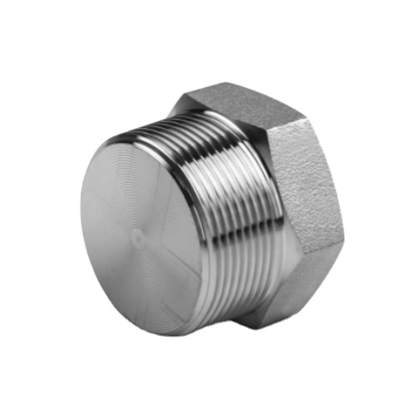 Stainless Steel Forged Pipe Fitting 3/4 Inch BSP/NPT Screwed Hexagon Plug