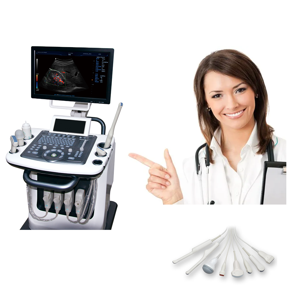 One-click control on Ultra-clear 4D probe ultrasound for quick image capture and analysis