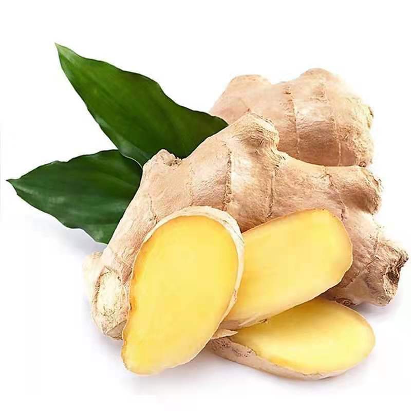 Good Quality Plump Clean Yellow Color Chinese Fresh Ginger Seeds Buyers