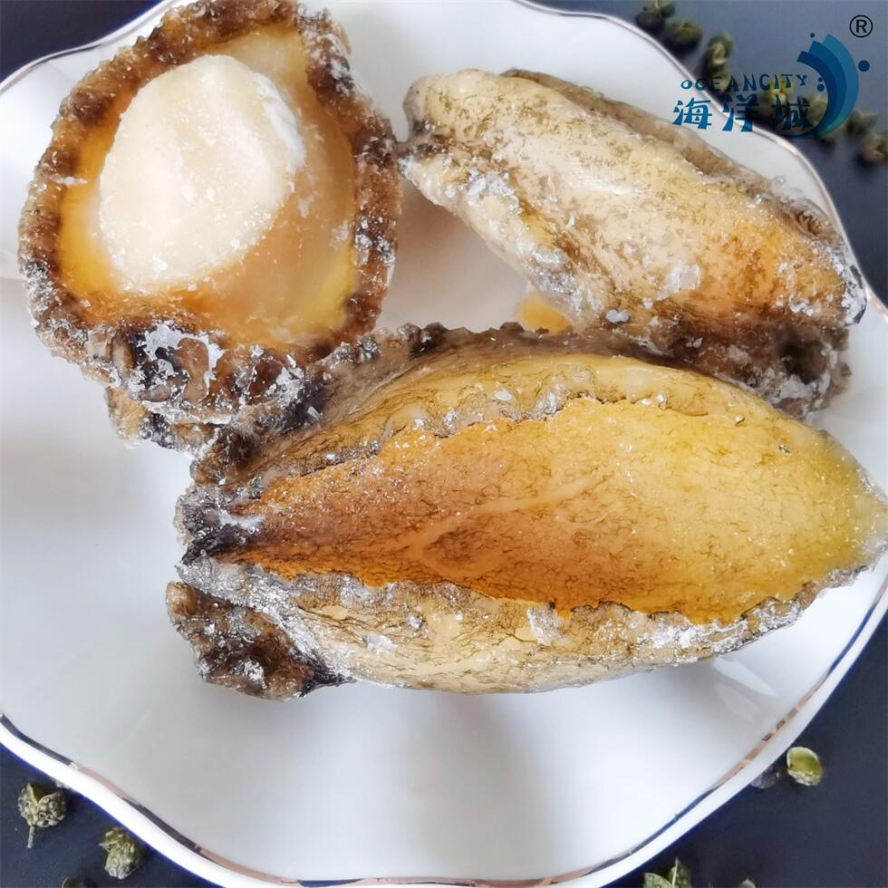 Fresh Seafood Product Abalone For Easily Make Tasty Seafood Dishes At Home
