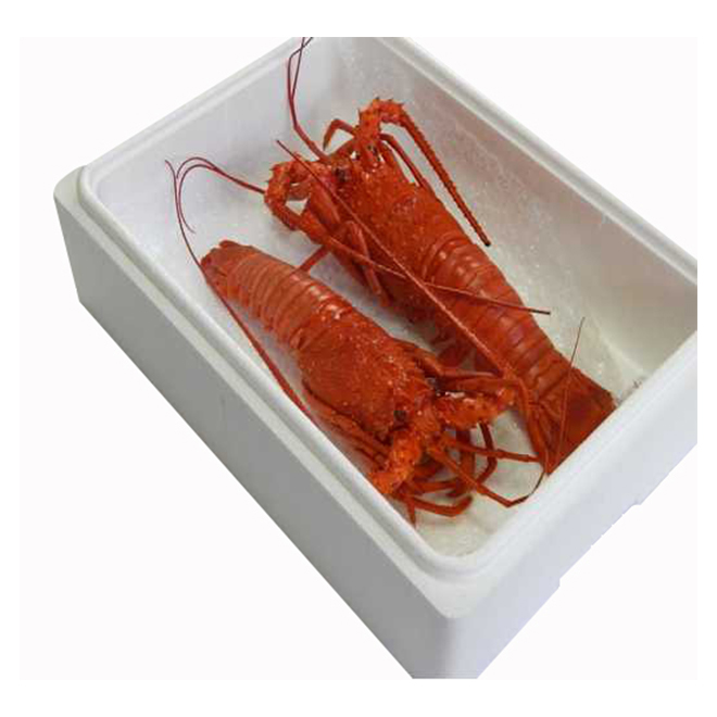 Mie prefecture hama steamed seafood product freezing red lobster