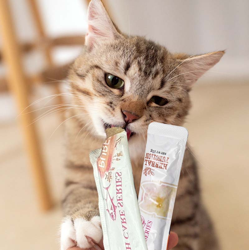 OEM ODM Cat Treat Bars Cat Snacks Wet Lycium Barbarum Food Natural Tuna fish Cat Strips