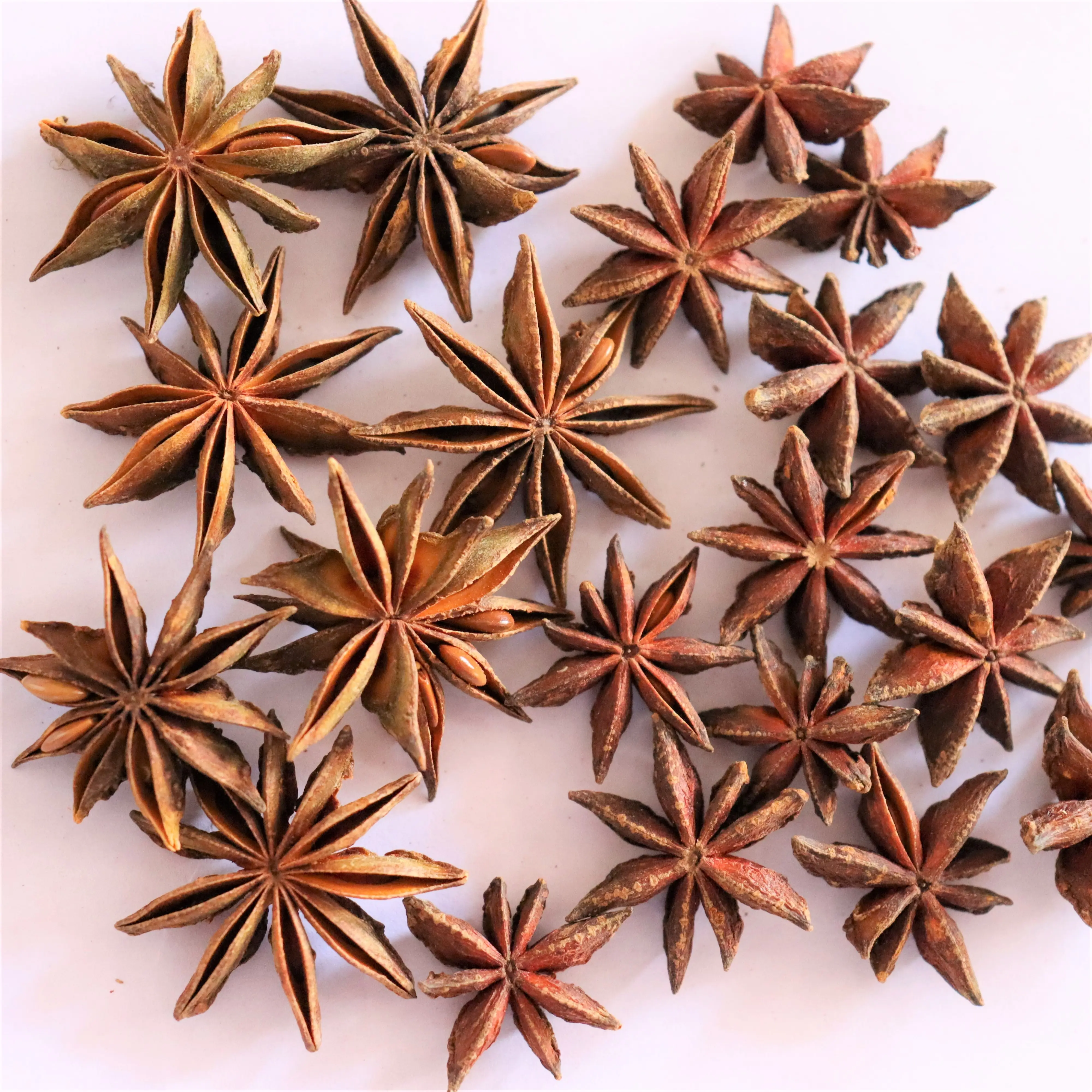 Wholesale  star anise  octagonal High quality spice star anise spices