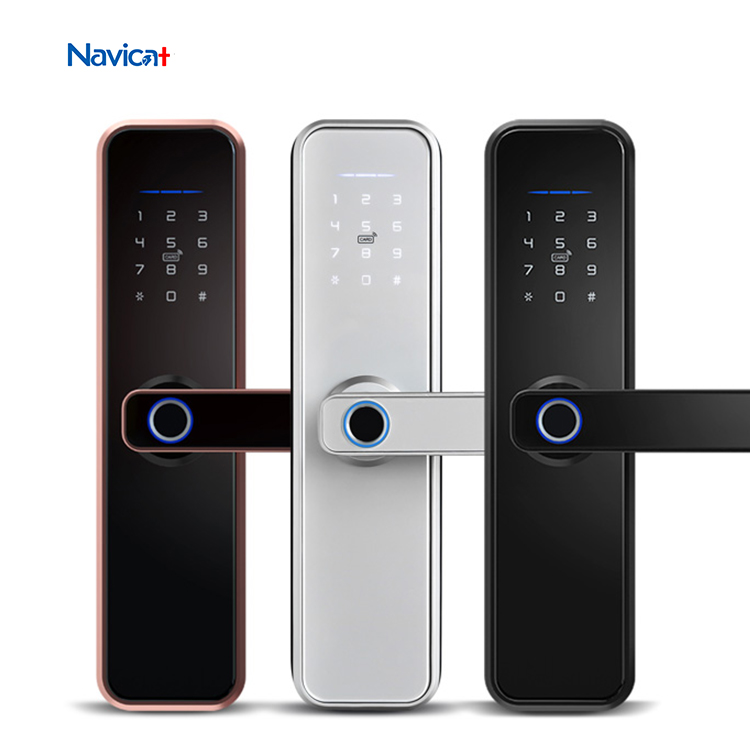 Бесключевая Tuya Wifi Bluetooth кодовая ручка электронный цифровой биометрический отпечаток пальца умный дверной замок