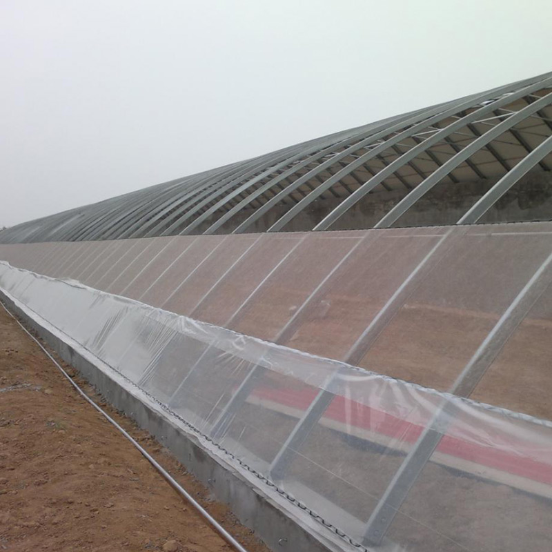 Hangmei simple solar greenhouse with back wall