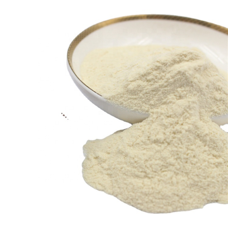 Freeze Dried Powder of Probiotics of Lactobacillus acidophilus and L. acidophilus 10 50 100 200 300 billion CFU