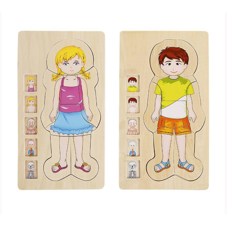 New design Montessori wooden multi-layer puzzle Educational toys for child Body parts learning toys