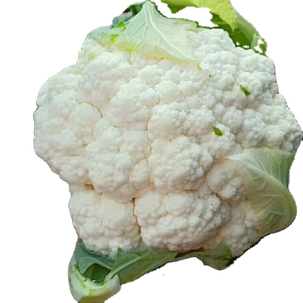 Лучшие продажи свежей цветной капусты и замороженной цветной капусты продукты замораживания овощей