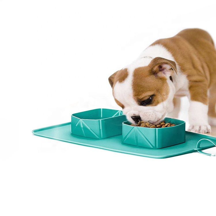 Amazon Top Seller Foldable Silicone Pet Water Bowl Collapsible Travel Dog Bowl