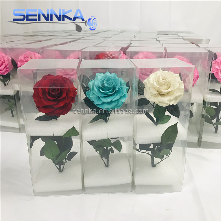 Свежесть сохранилась Роза большая скидка огромный Forever Rose декоративные цветы экспорт Австралия