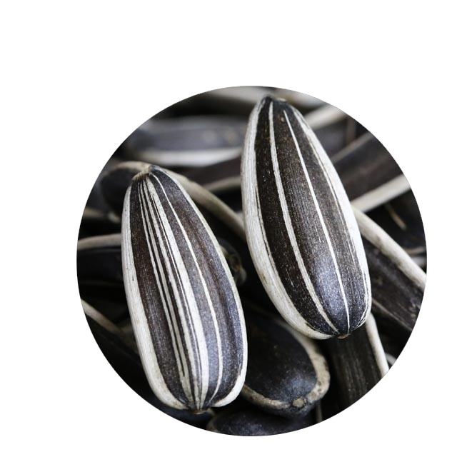 Chinese sunflower seeds