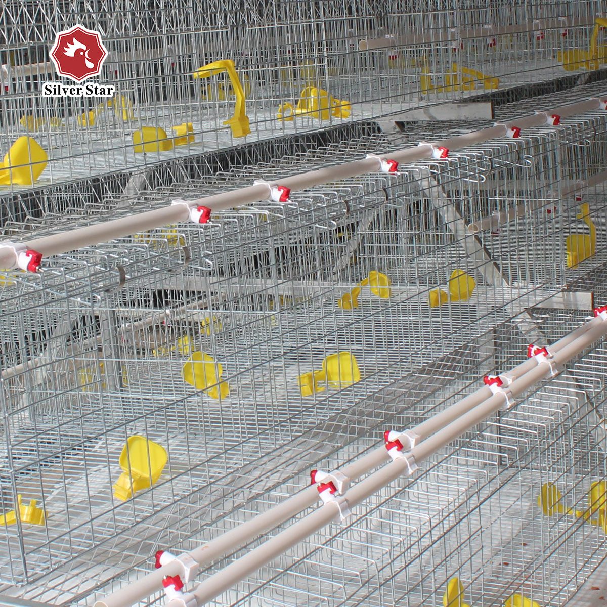 Easy-operate 20 years brand Silver Star hot galvanized chicken coops laboratory rat cages