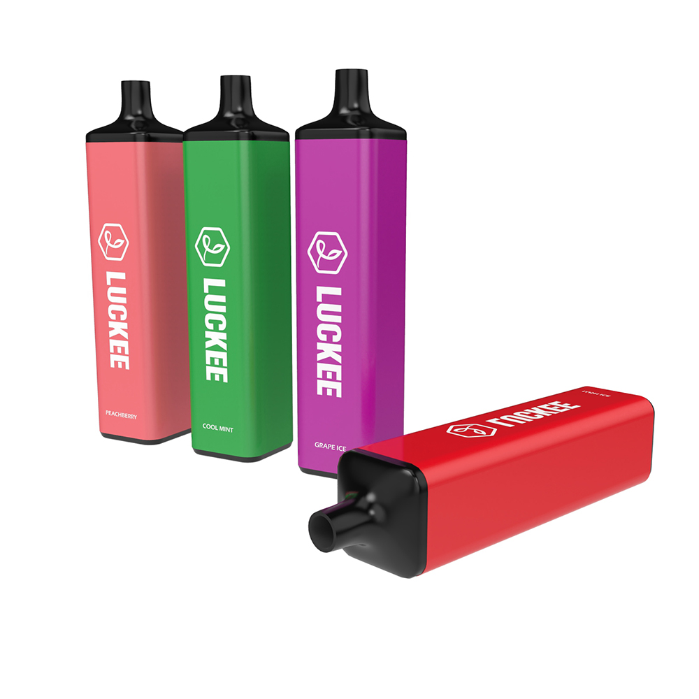 2021 factory direct sale 5000 Puffs 13ml e cigarette disposable vape pen