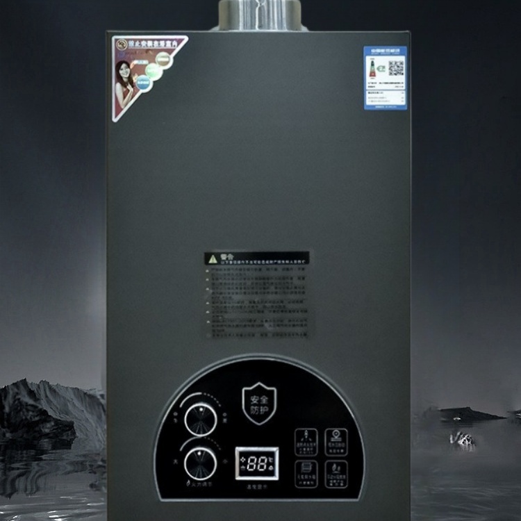 Smart Gas Water Heater Heat Exchanger Tankless LP Boiler Kitchen Instant Natural Gas with Direct Vent