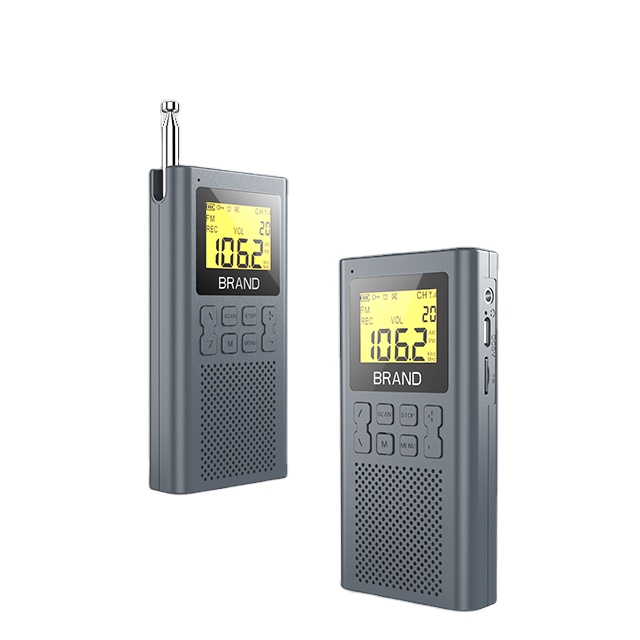 Am/fm-радио, мини-стерео, для походов, карточка, новый портативный плеер Walkman, перезаряжаемое радио, Компаньон дикой природы