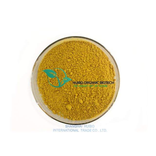 Organic Turmeric powder / Natural Curcumin best price