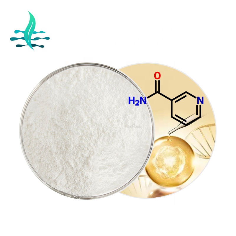 High quality vitamin B3 powder CAS 98-92-0 nicotinamide powder