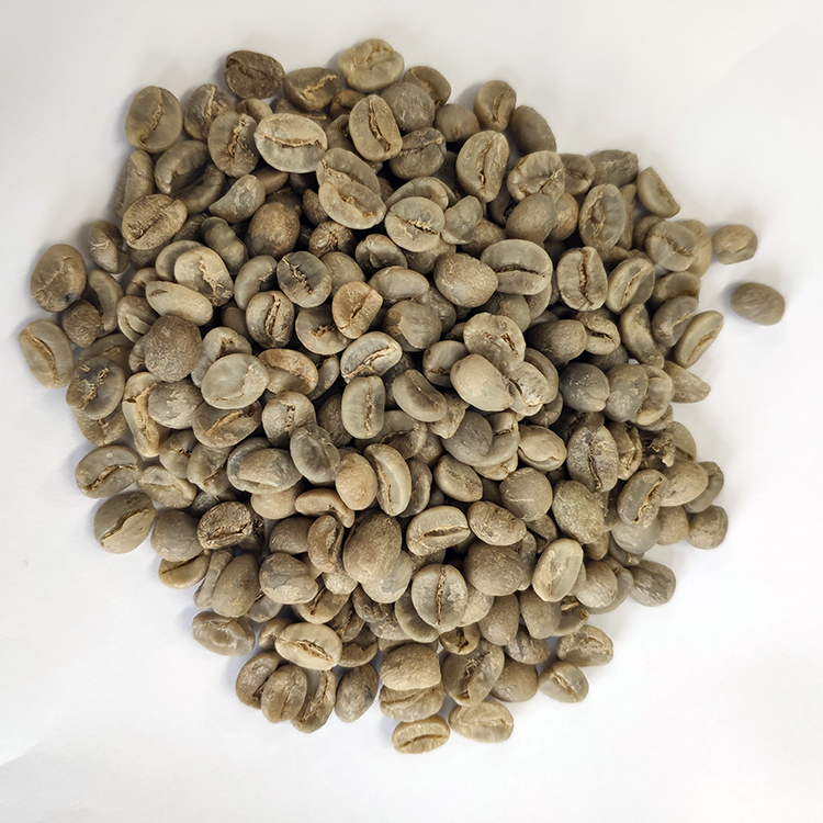 Китайские кофейные зерна arabica, необработанные кофейные зерна