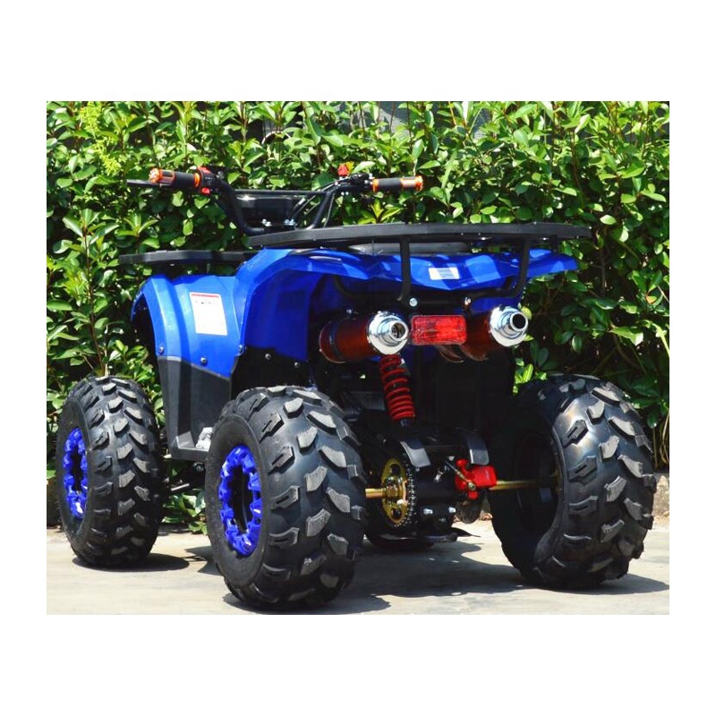 Высокое качество пляжные багги мотоцикла 110cc 4 Wheeler газа вездеходы для детей и взрослых