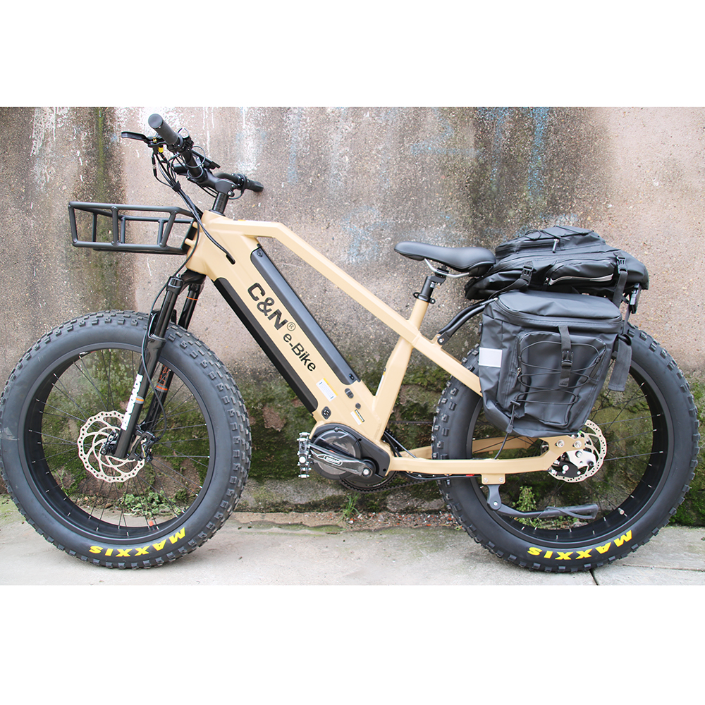 Rohloff 14 скорость Ленточный привод G510 1000W Bafang Электрический велосипед Байк, способный преодолевать Броды с двумя батареями